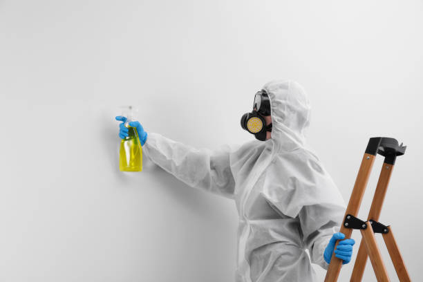 Best Forensic Mold Investigation  in Tyro, NC